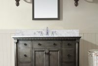 Bathroom Cabinets San Antonio Inspiration Stella 49 Bathroom Vanity inside dimensions 1022 X 1280