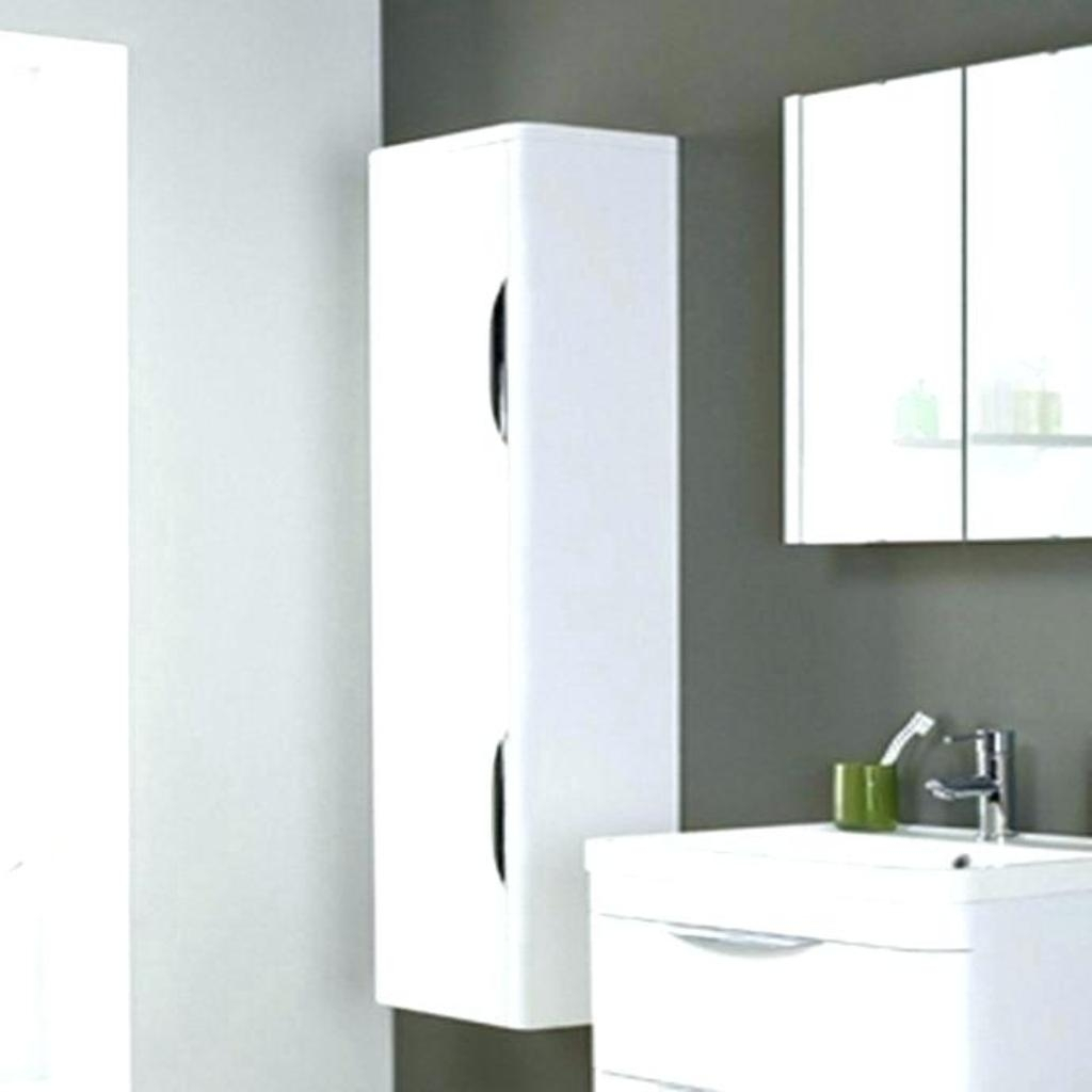 Dark Gray Wall Color With White Laminate Narrow Wall Cabinet Using inside proportions 1024 X 1024