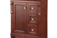Home Decorators Collection Naples 24 In W Bath Vanity Cabinet Only with regard to dimensions 1000 X 1000