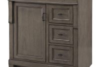 Home Decorators Collection Naples 30 In W Bath Vanity Cabinet Only with regard to proportions 1000 X 1000