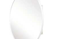 Pegasus 24 In X 36 In Recessed Or Surface Mount Oval Bathroom for sizing 1000 X 1000