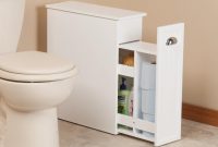 Slim Bathroom Storage Cabinet Oakridge Slim Cabinet Walter Drake pertaining to size 1168 X 1168
