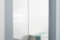 Stainless Steel Bathroom Cabinet Mirror Doors Vasari in measurements 1000 X 1000