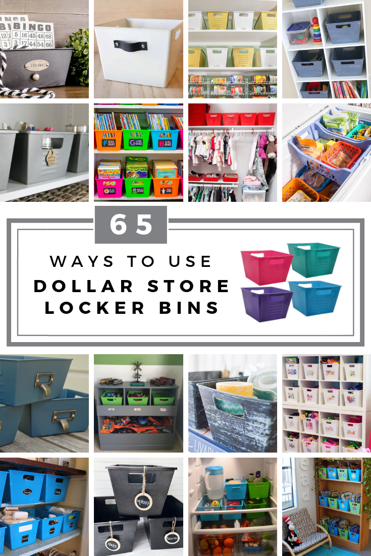 65 Ways To Organize Using Dollar Tree Storage Bins regarding sizing 735 X 1102