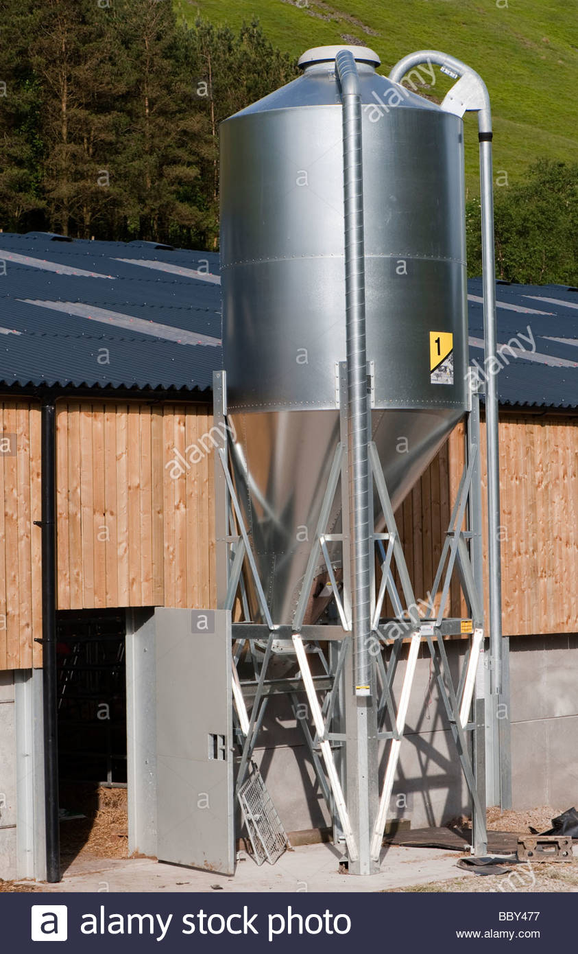 Animal Feed Storage Bin Outside A Newly Built Cattle Shed On An pertaining to proportions 843 X 1390