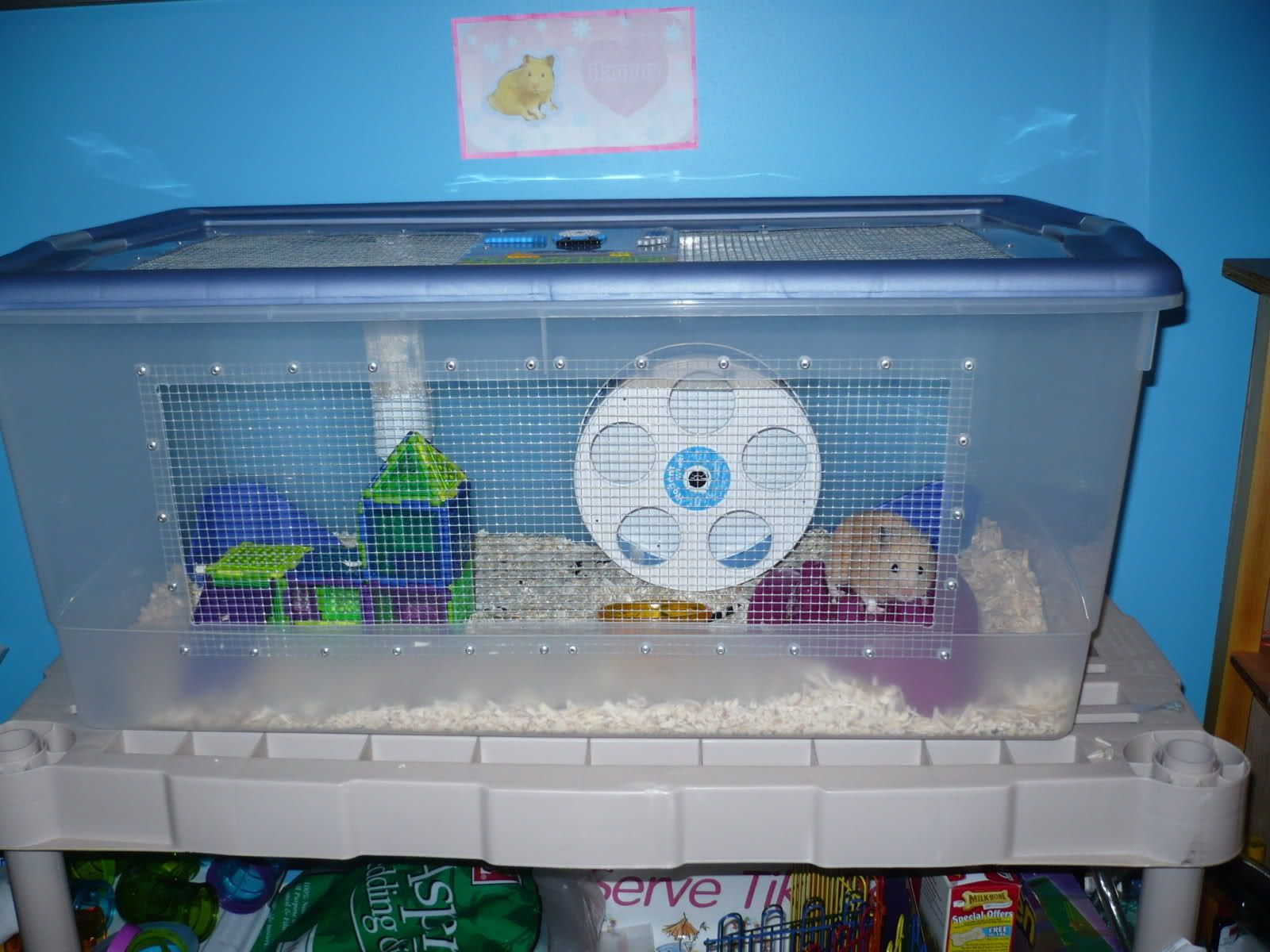 Click For A Larger View Hamsters Hamster Bin Cage Hamster Cages in measurements 1600 X 1200