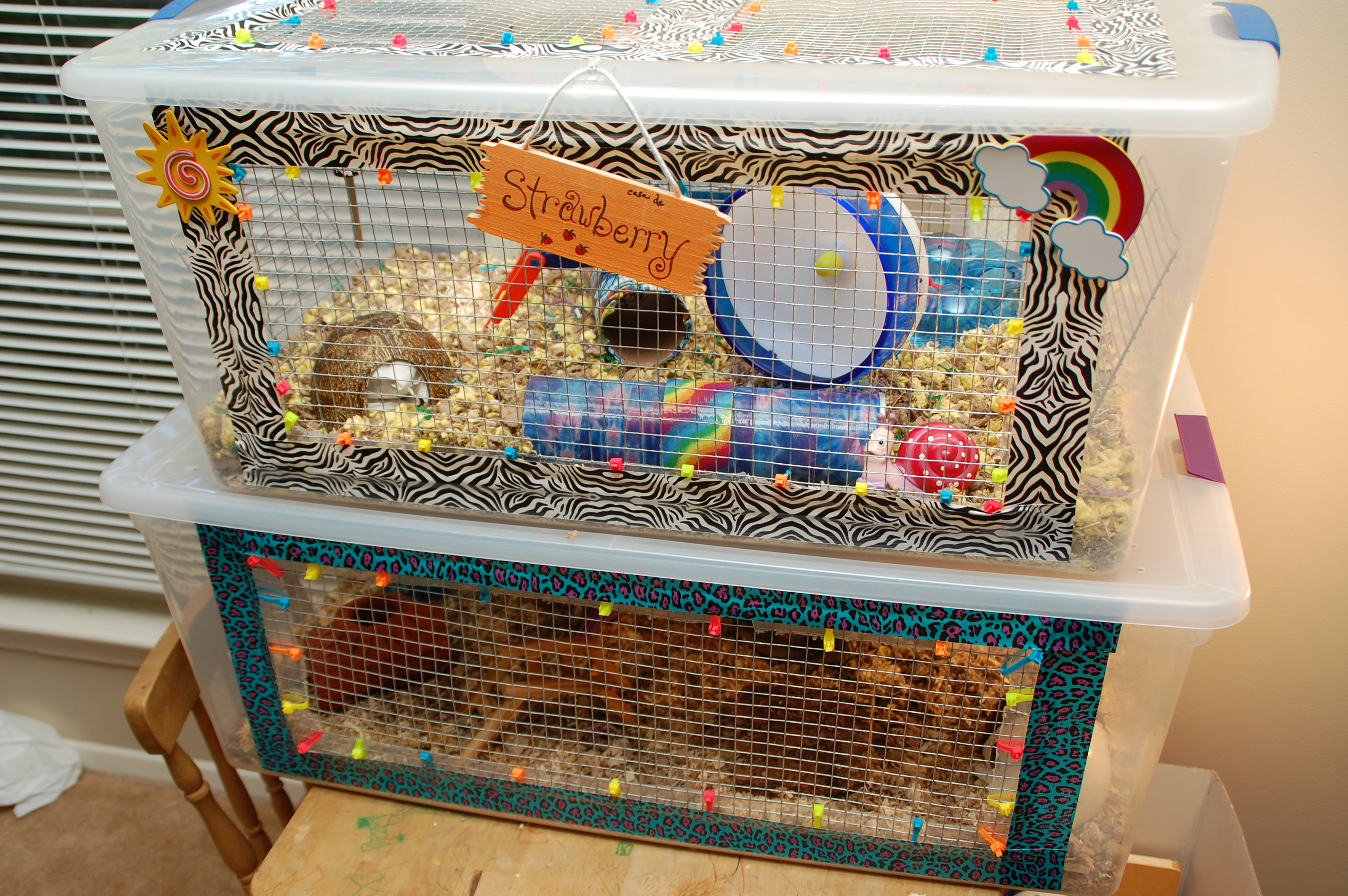 Diy Hamster Cage Bin Cage Hammy Happenings within proportions 3008 X 2000