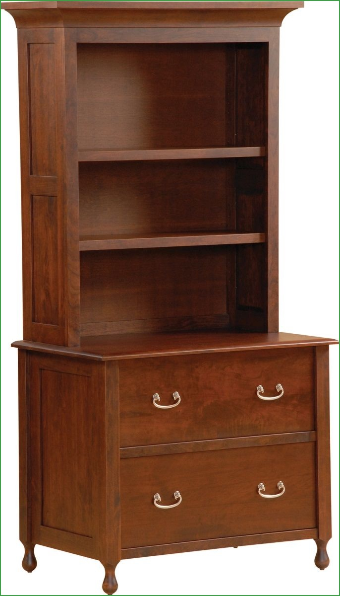 File Cabinets Outstanding Bookcase File Cabinet Combo Vertical File for size 686 X 1200