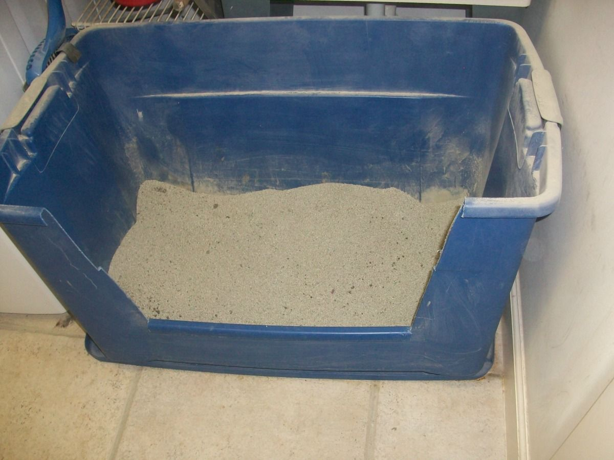 Giant Cat Litter Box Made Out Of Rubbermaid Storage Bin Unusual throughout measurements 1200 X 900