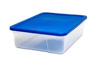 Homz Snaplock 12 Quart Clear Storage Container With Blue Lid Set Of within size 1000 X 1000