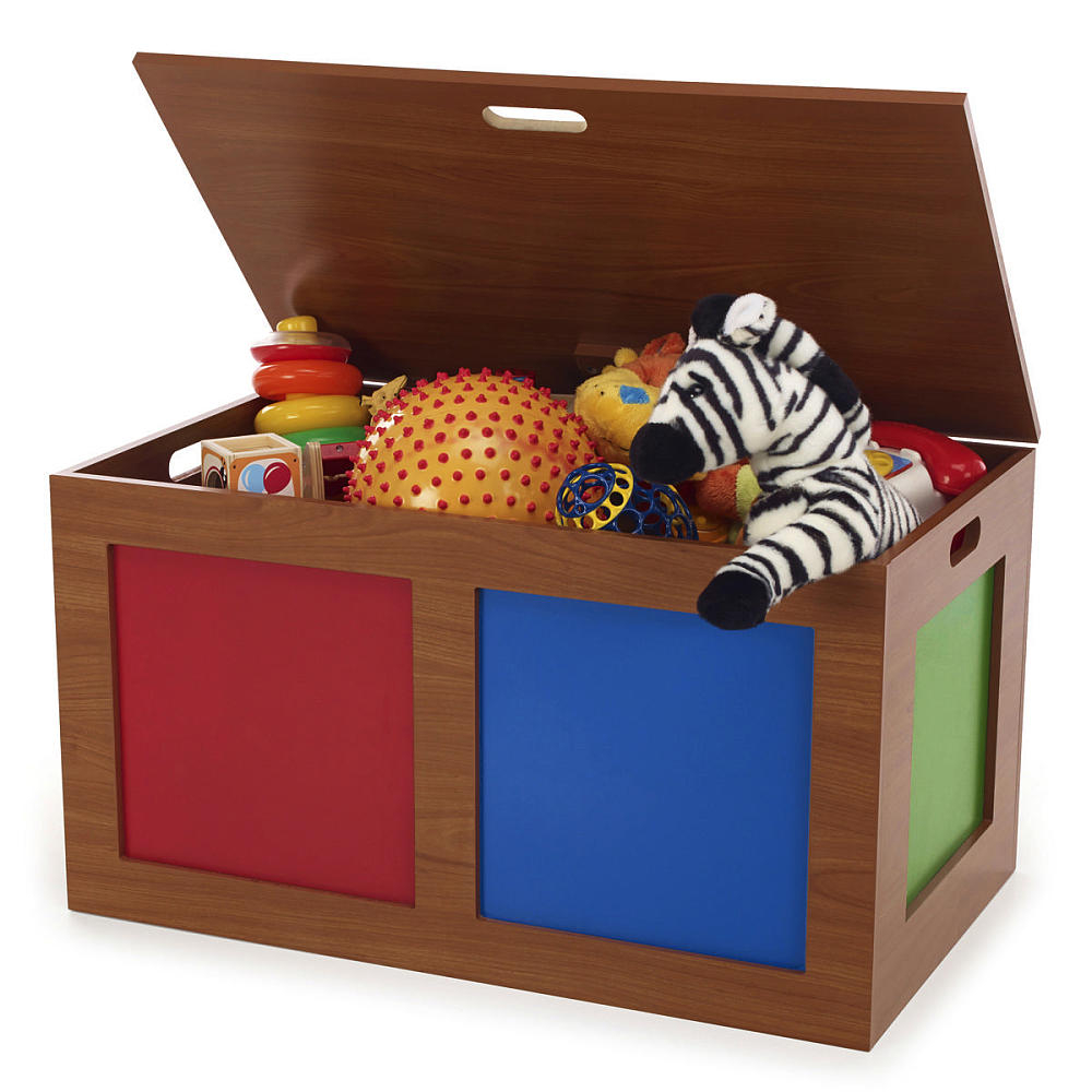 Ideas Toy Storage Organizer With Treasure Chest Toy Box in proportions 1000 X 1000