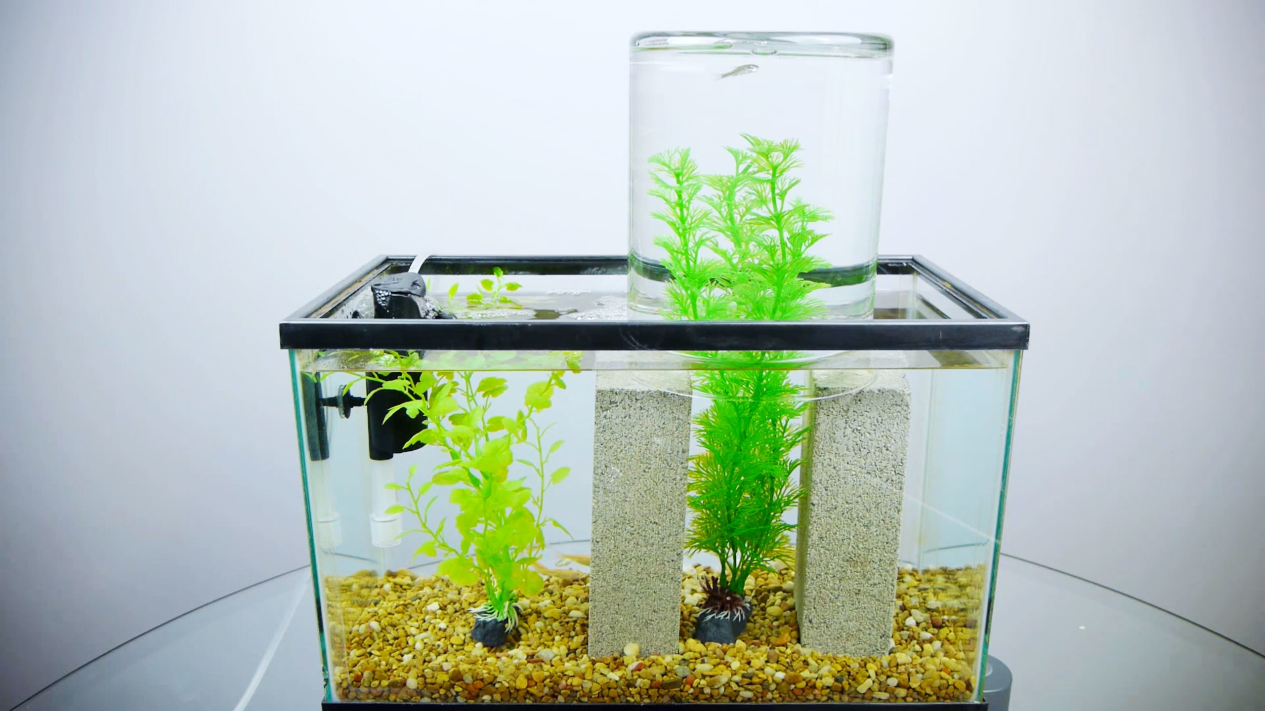 Its Not An Impossible Fish Tank Its Just Physics Wired intended for sizing 2560 X 1440