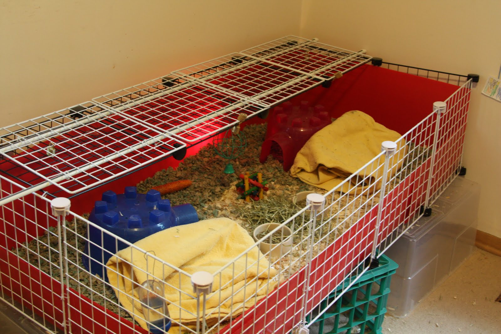 Kibbles N Knits Diy Guinea Pig Cage throughout proportions 1600 X 1067