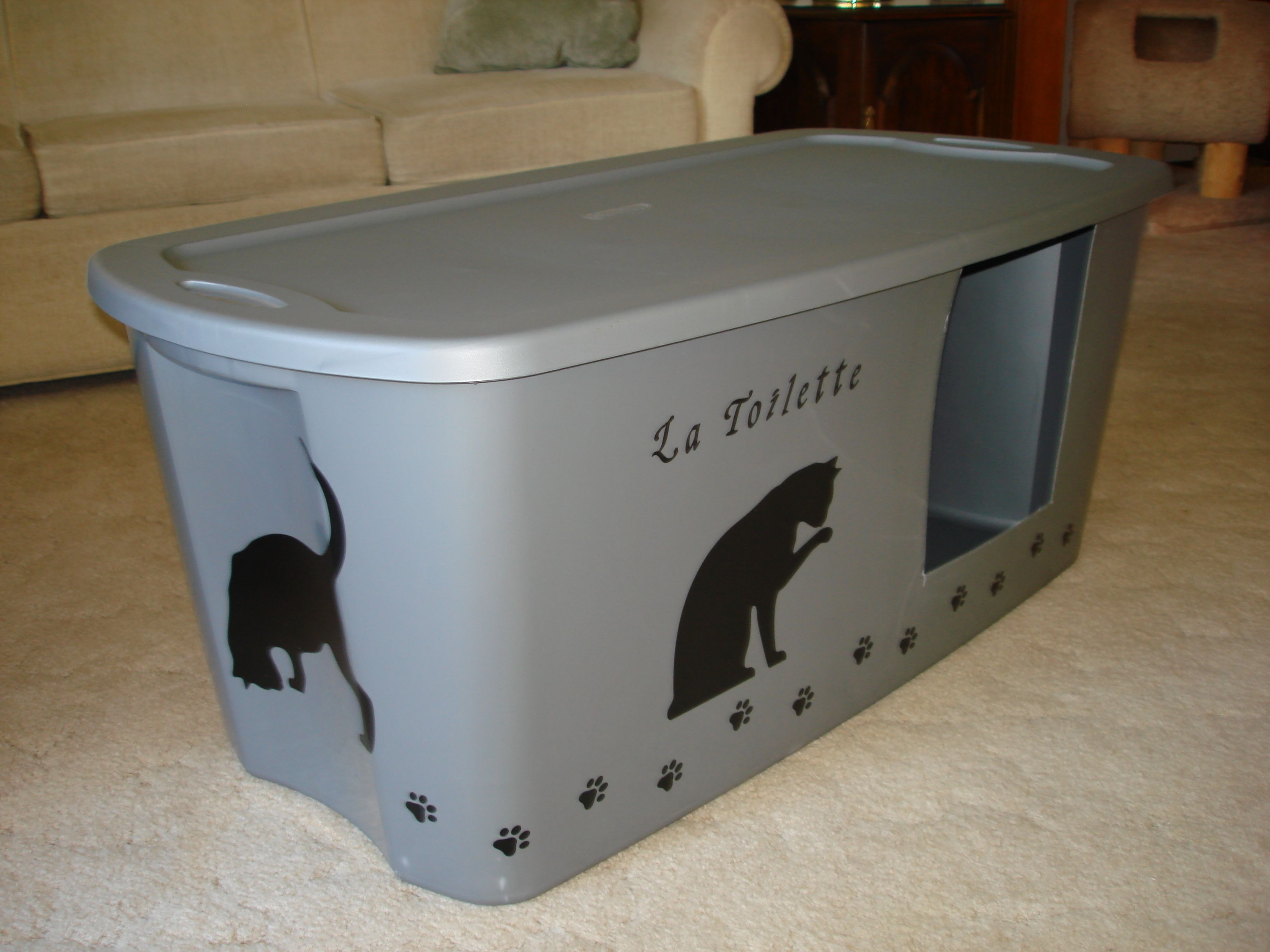 Litter Box Made From Large Storage Bin From Walmart Cat Litter intended for dimensions 3264 X 2448