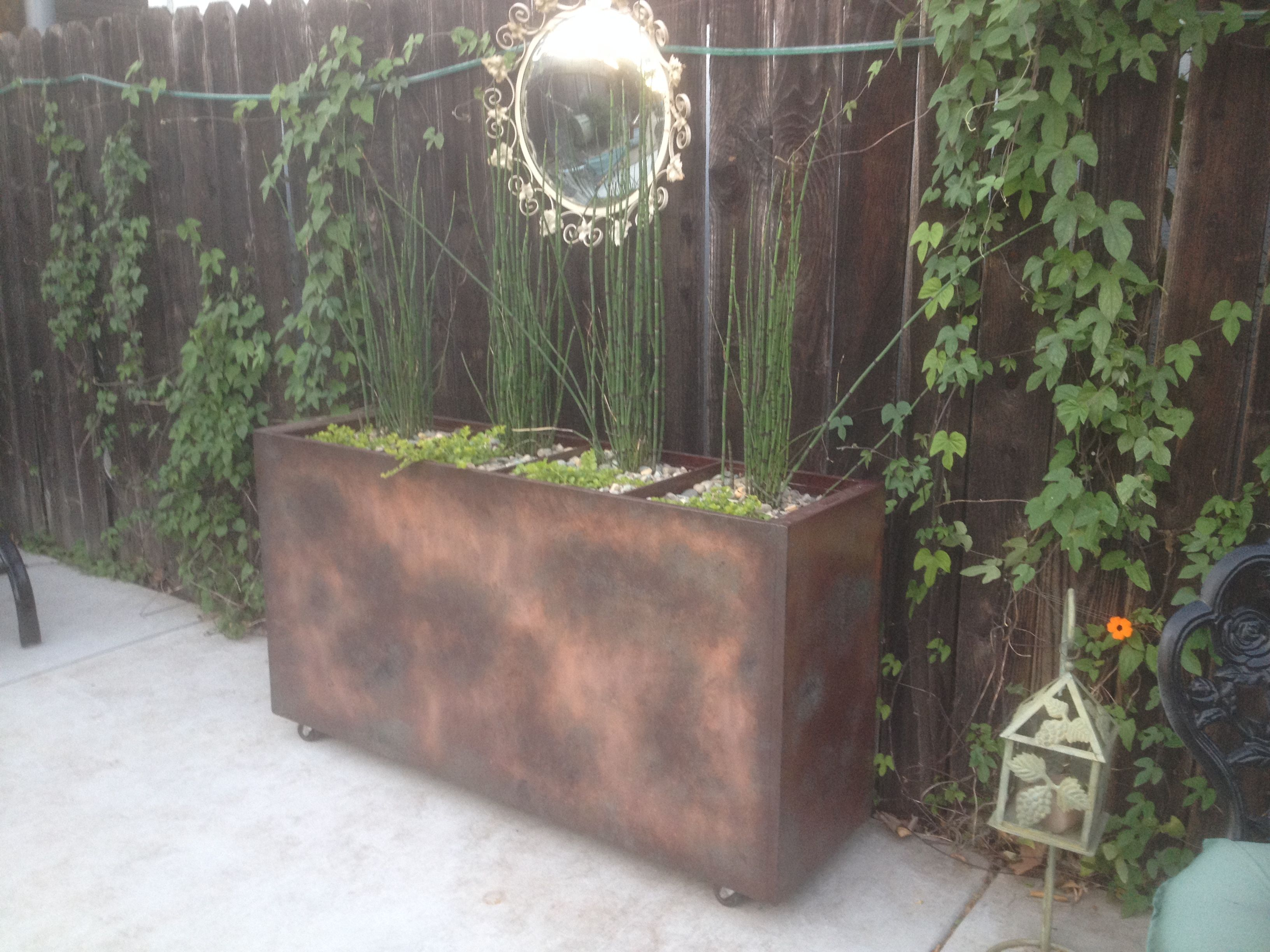 My Old Filing Cabinet Repurposed Into A Planter Spent Hours On The with regard to measurements 3264 X 2448