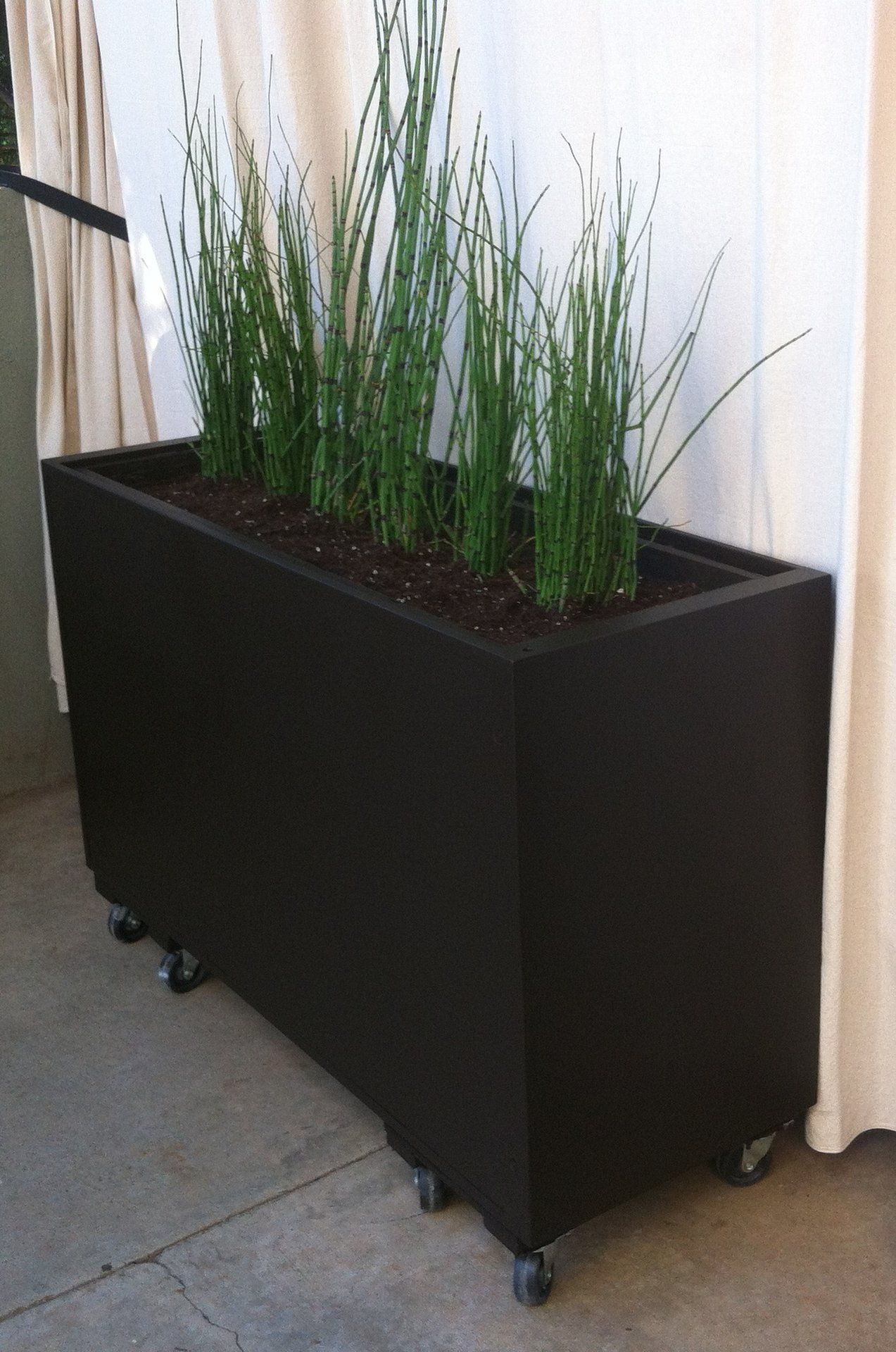 Planter From Recycled Filing Cabinet On Castors Use Non with regard to dimensions 1273 X 1920