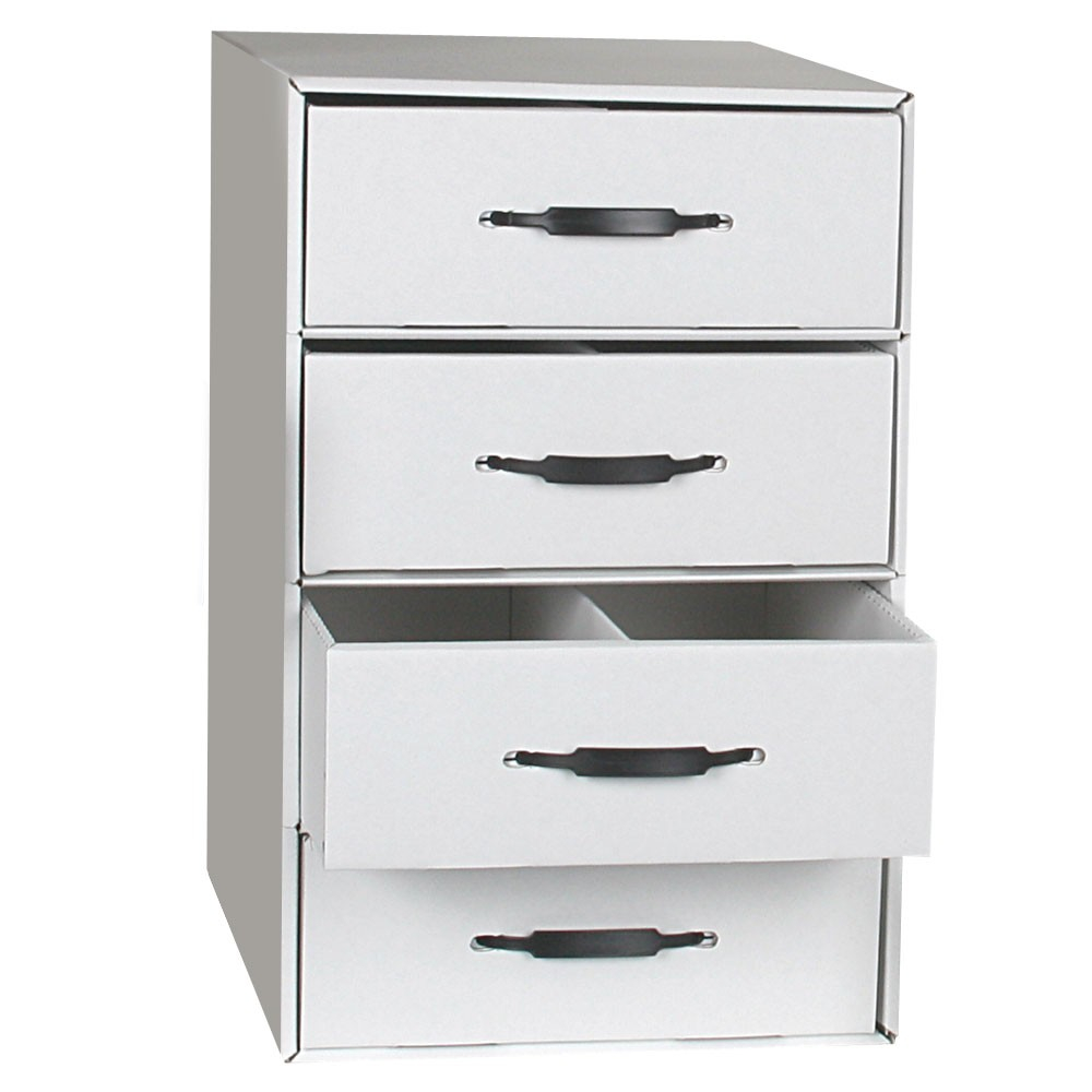 Rx Divided Drawer Storage File 4 Drawer with regard to size 1000 X 1000