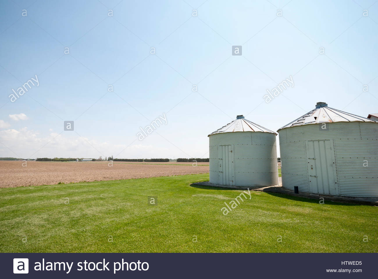 Seed Storage Bins On A Commercial Corn Farming Operation In Rural within dimensions 1300 X 960