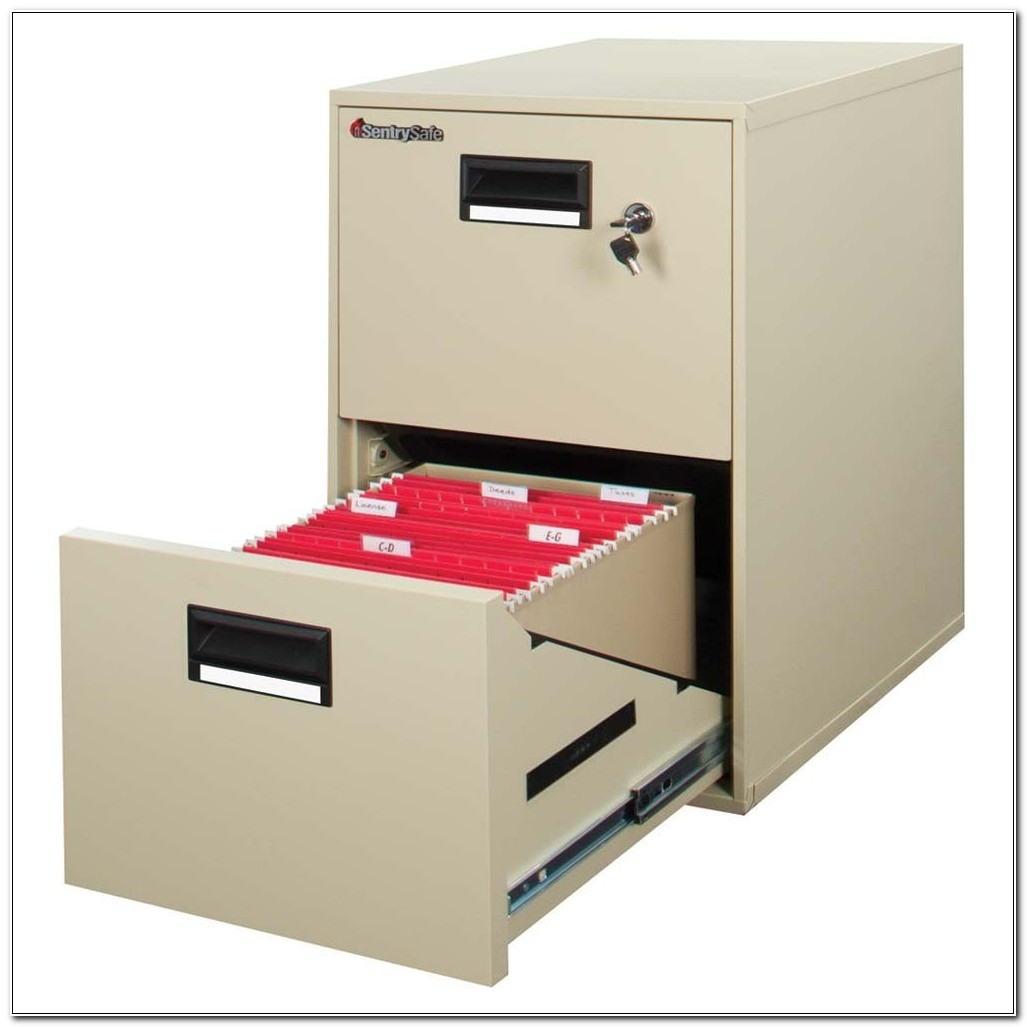 Sentry Safe File Cabinet Cabinet Home Design Ideas 8d1kvvjlkl with regard to size 1027 X 1027