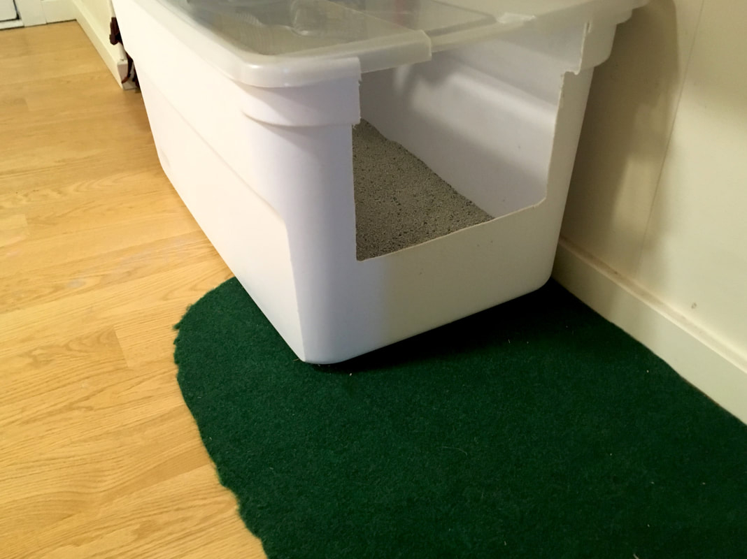 The Ultimate Litter Box A Guide To Making A Large Litter Box From for measurements 1068 X 800