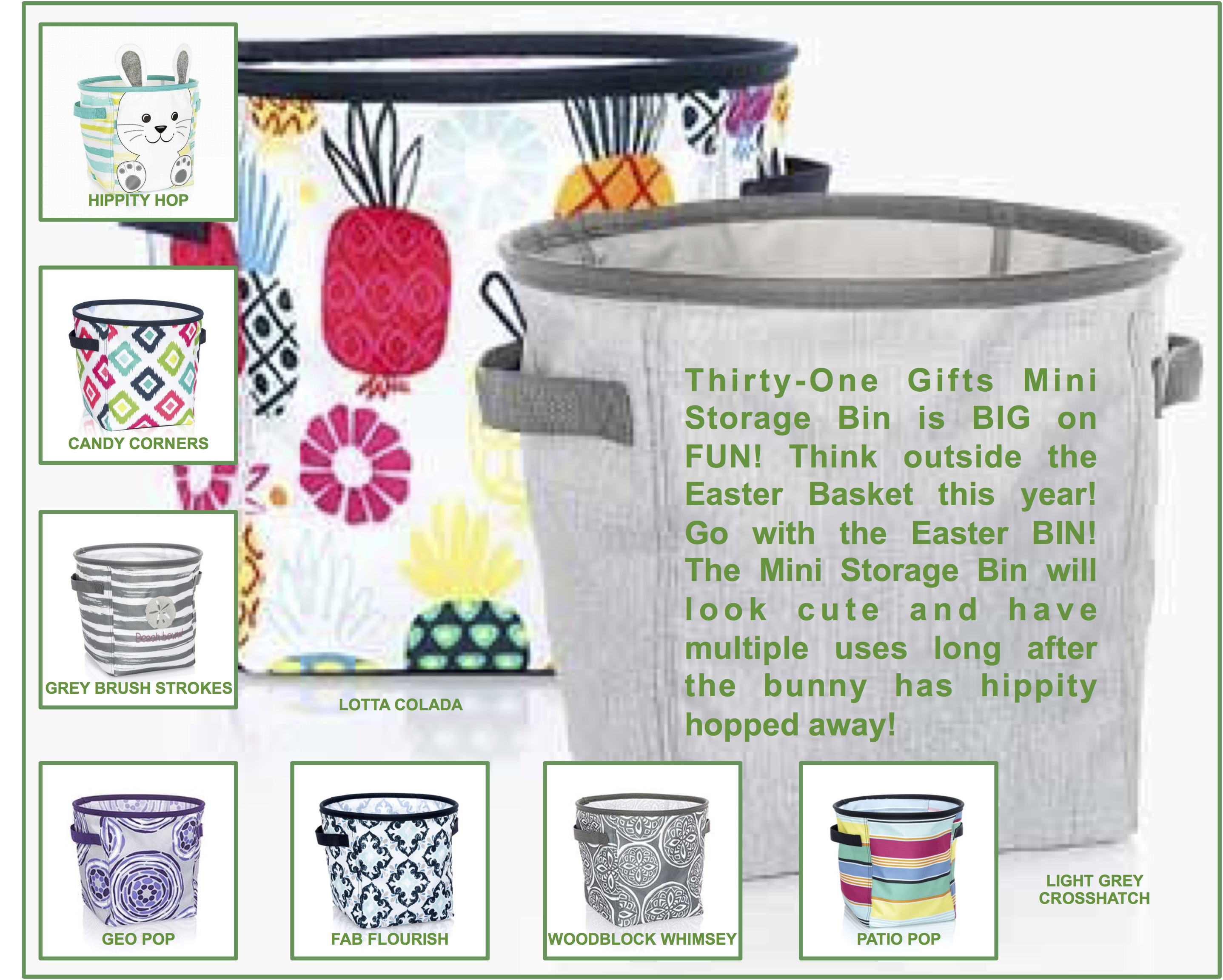 Thirty One Gifts Mini Storage Bin Team Hillenburg intended for dimensions 2875 X 2304