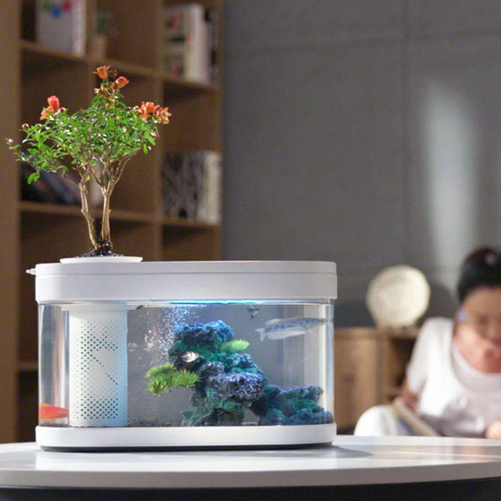 Xiaomi Geometry Fish Tank Aquaponics Ecosystem Small Water Garden regarding size 1000 X 1000