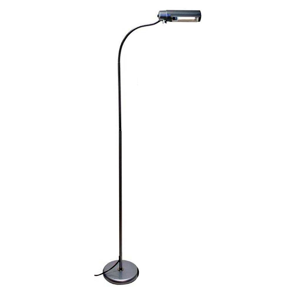 Avian Sun Deluxe Uv Floor Lamp Stand For Parrots No Bulb with regard to proportions 1000 X 1000