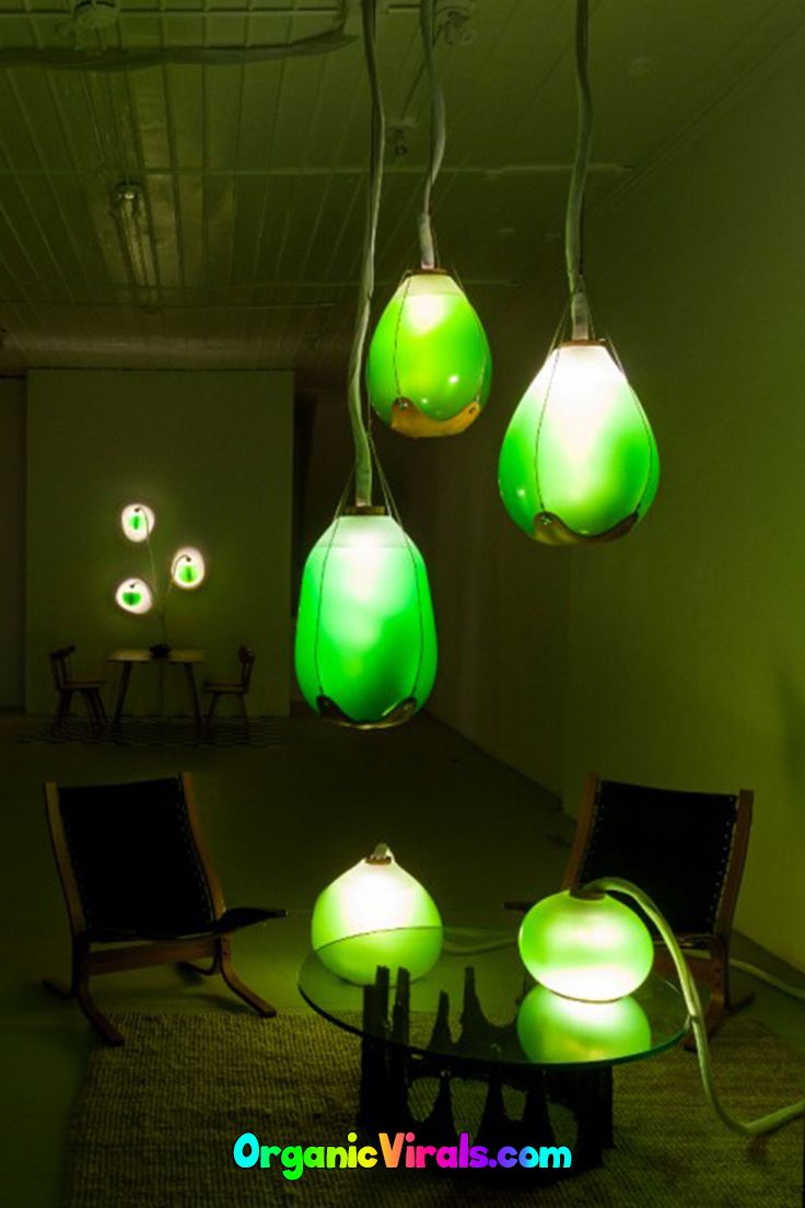 Awesome Living Algae Lamps Produce Food Heat And Light regarding sizing 736 X 1104