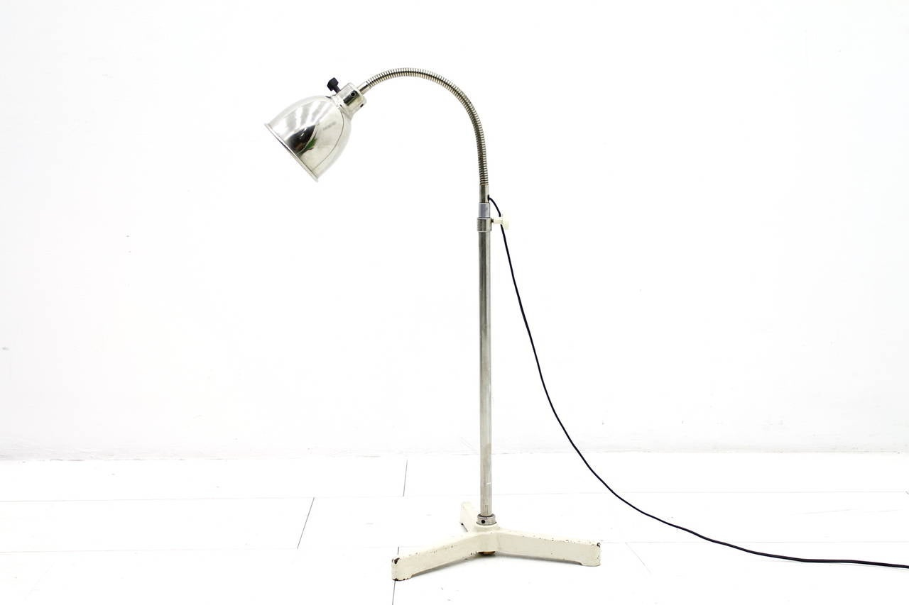 Christian Dell Floor Lamp With Gooseneck 1930s for proportions 1280 X 853