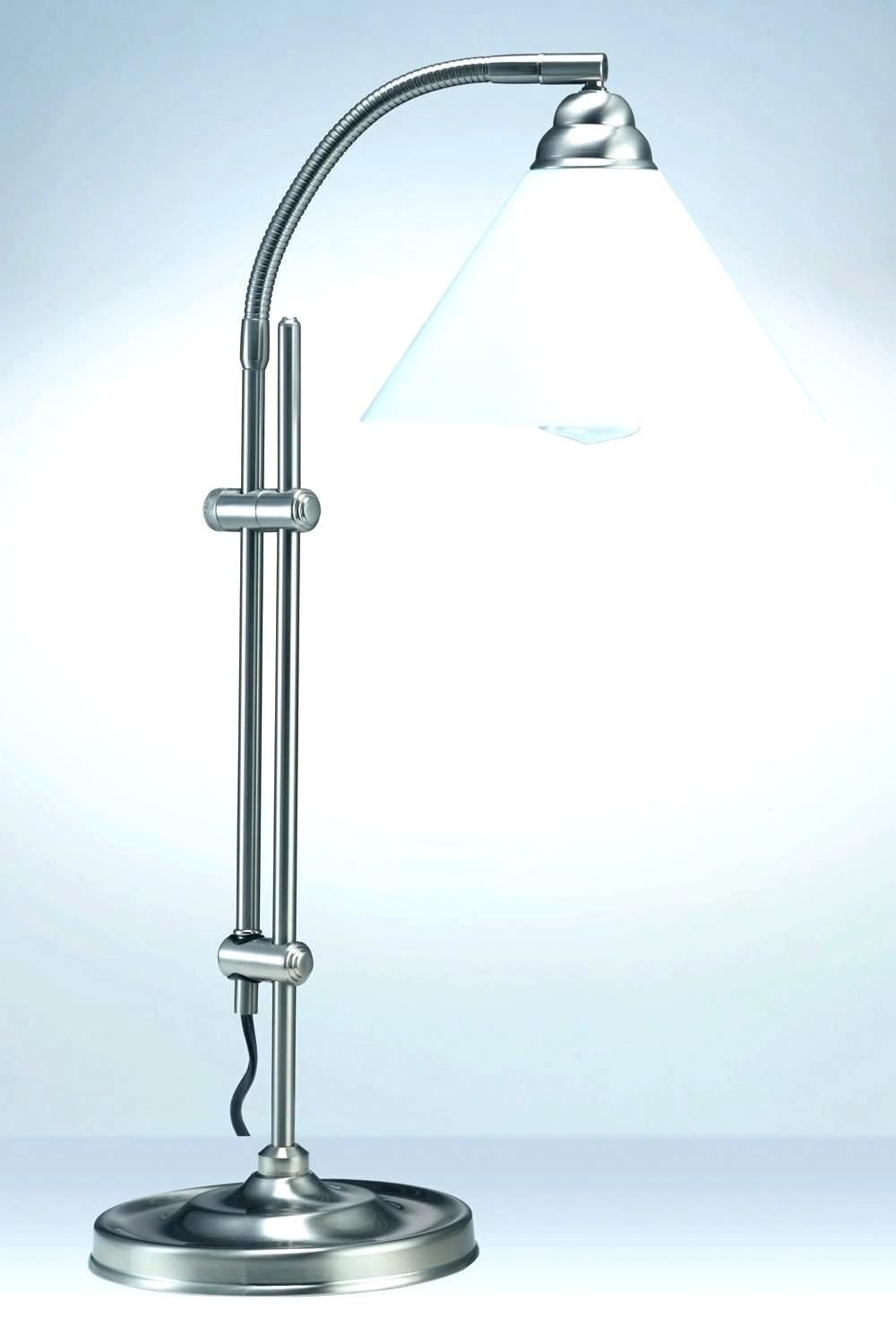 Daylight 24 Magnifier Floor Lamp Magnifying Floor Lamp within size 1000 X 1500