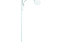 Daylight Swan Floor Lamp With 175x Magnifier in dimensions 1000 X 1000