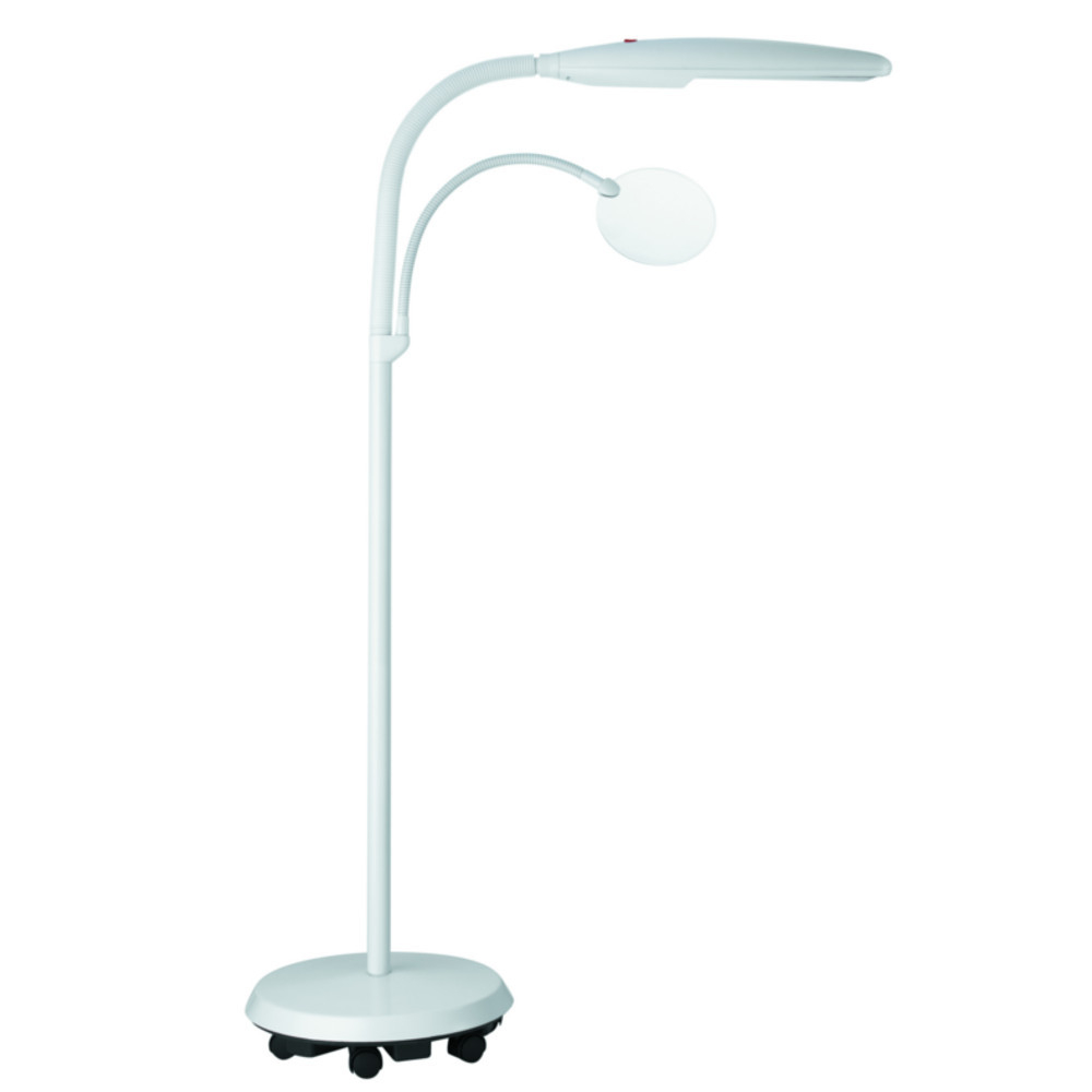 Daylight Swan Floor Lamp With 175x Magnifier in dimensions 1000 X 1000