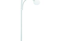 Daylight Swan Floor Lamp With 175x Magnifier within measurements 1000 X 1000
