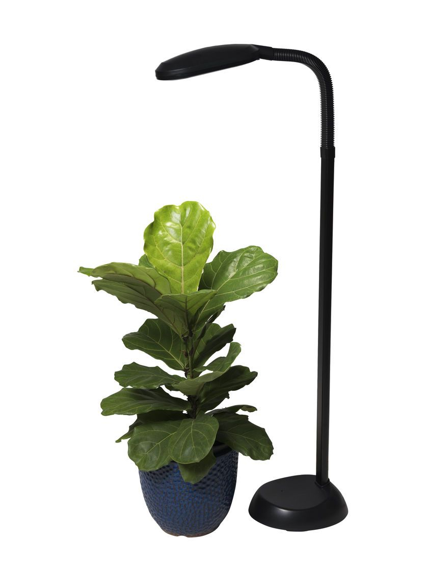 Floor Plant Lamp Full Specrum Cfl Grow Light Grow Lights for proportions 840 X 1120