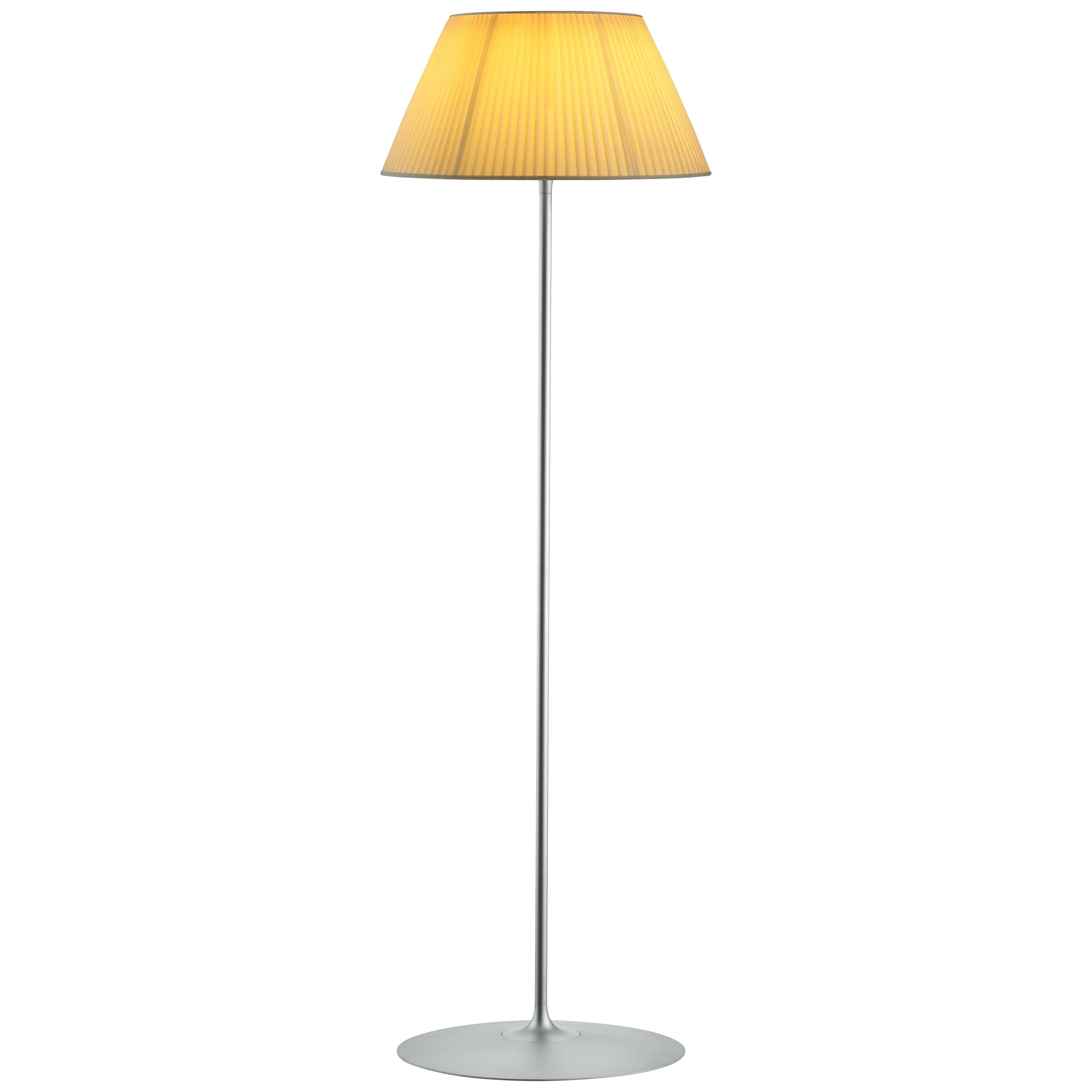 Halogen Floor Lamp Fnsab regarding proportions 3000 X 3000