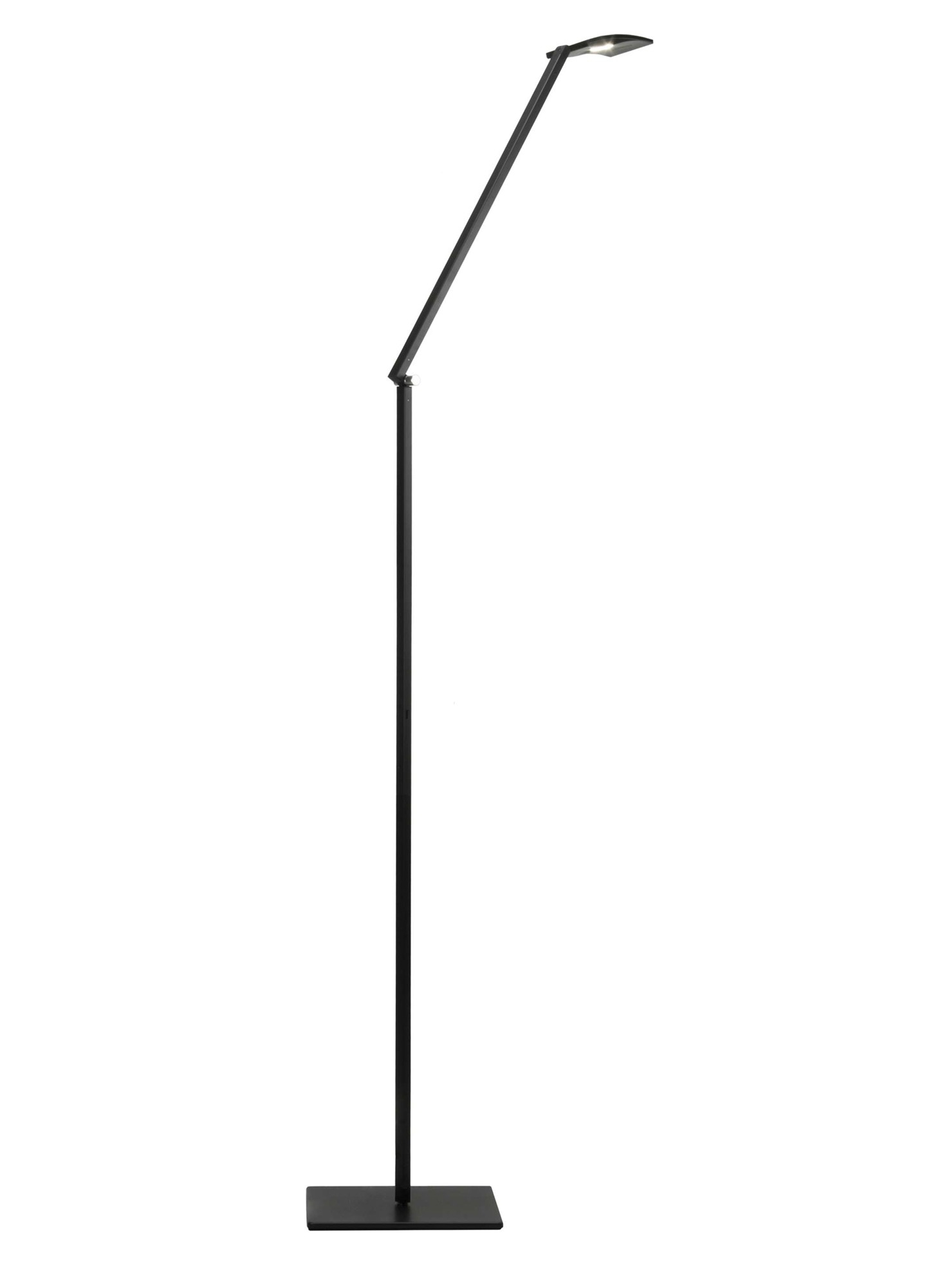Koncept Mosso Pro Led Floor Lamp with measurements 1467 X 2000
