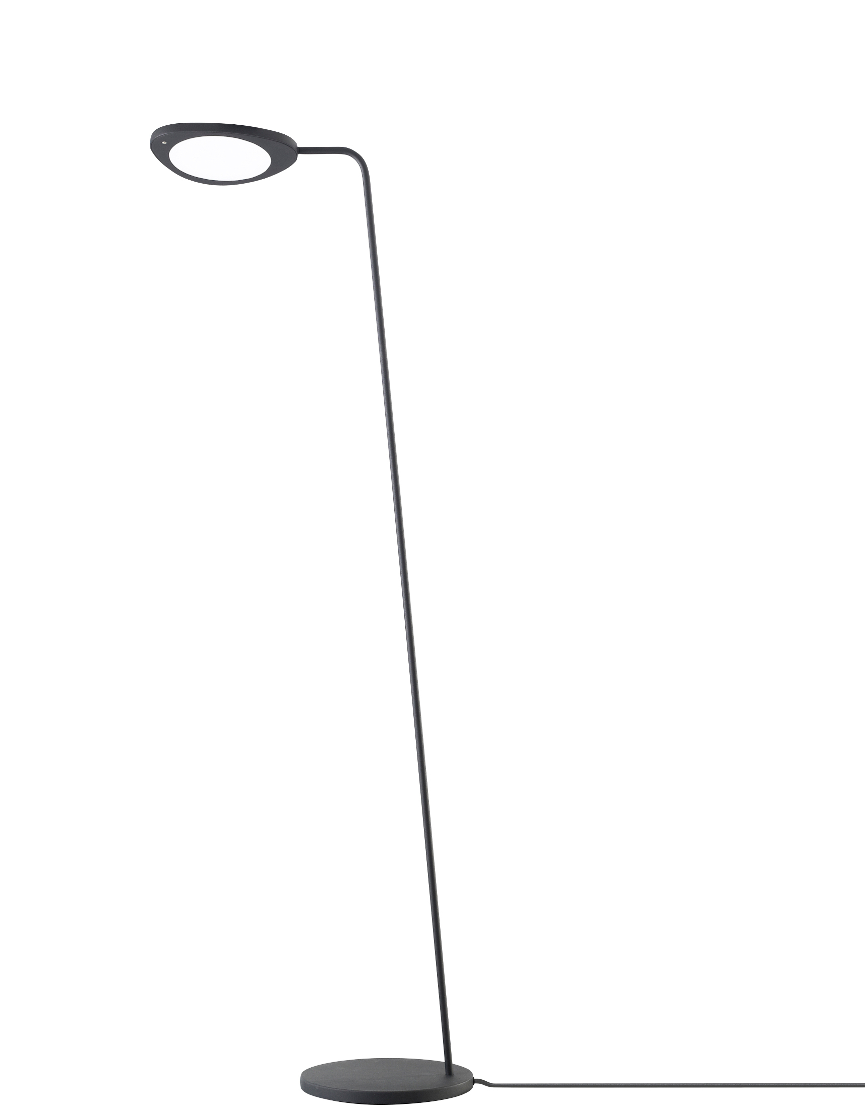 Leaf Floor Lamp with dimensions 1720 X 2224