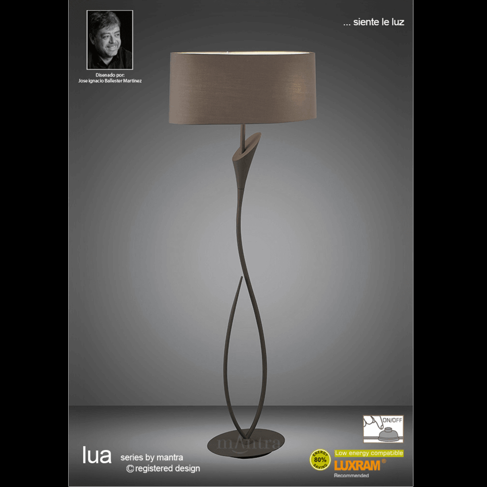 Lua Switched 2 Light Floor Lamp In Ash Grey with proportions 1000 X 1000