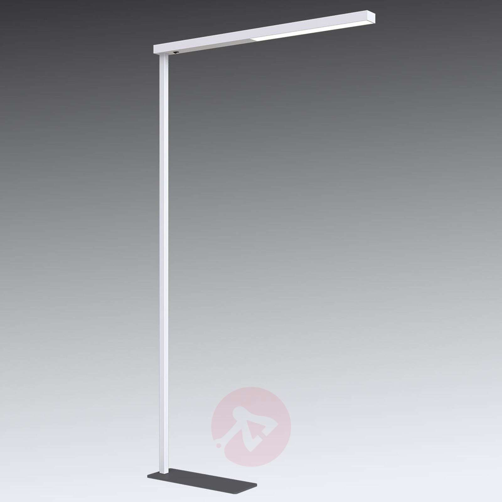 Narrow Led Office Floor Lamp Tamilo White inside proportions 1600 X 1600