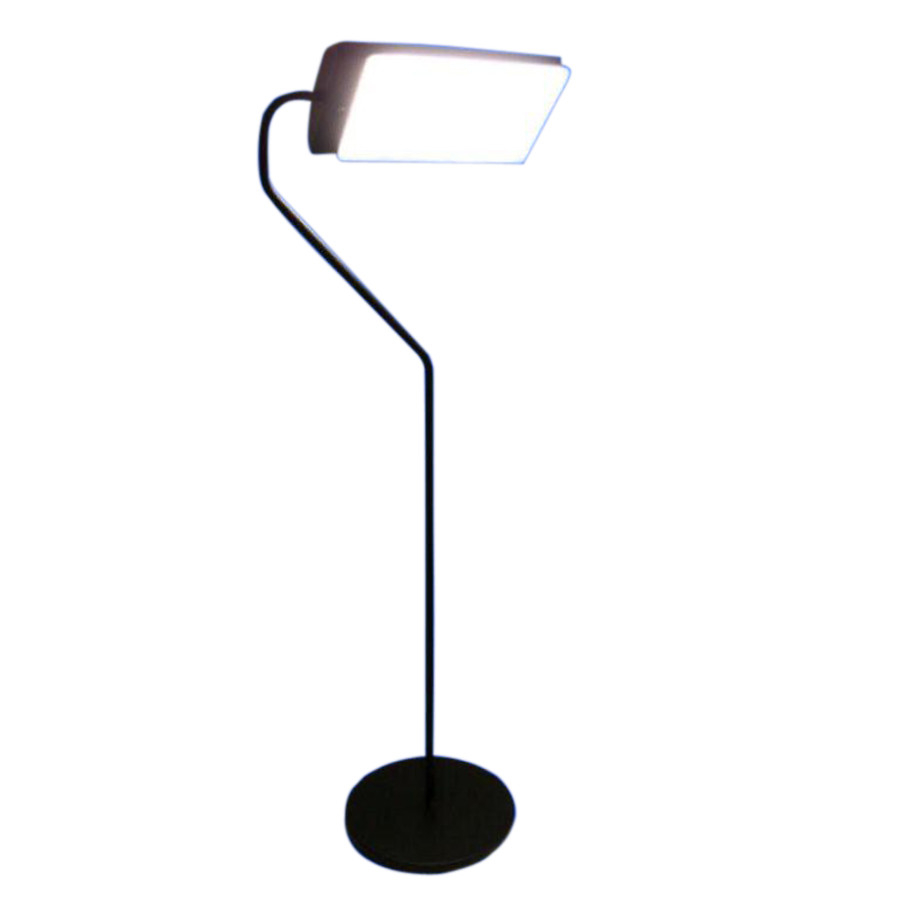 Northern Light Technologies Light Therapy 10000 Lux 4 Feet Floor Lamp pertaining to dimensions 900 X 900