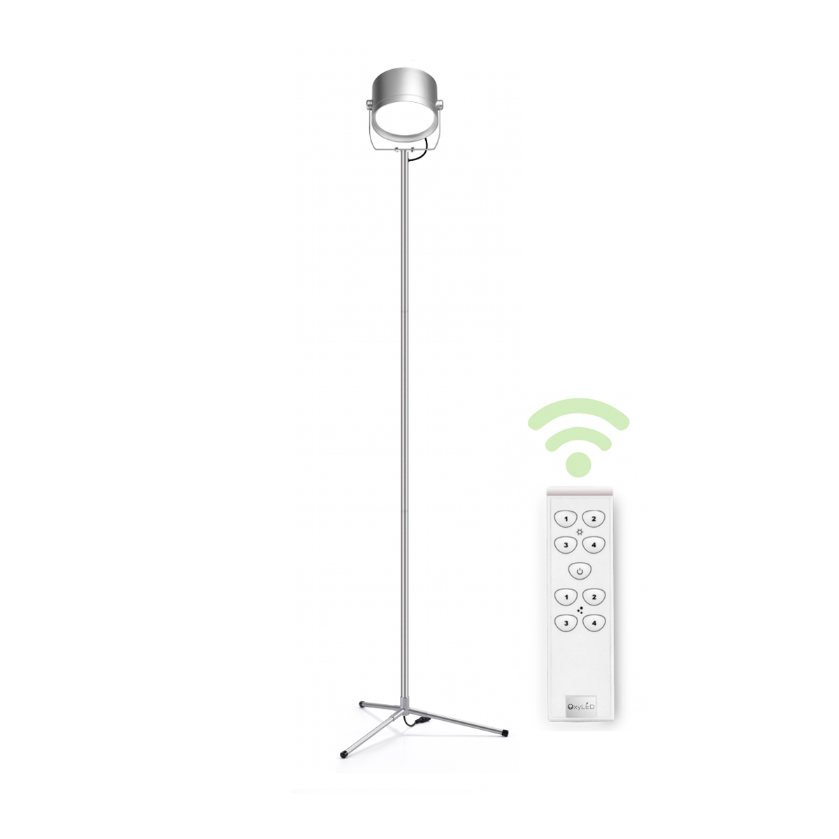 Oxyled Led Floor Lamps Led Floor Light Dimmable Lamp With Remote Control 700 Lumens 8 Brightness Levels For Living Roombedroomsilver regarding proportions 1200 X 1200