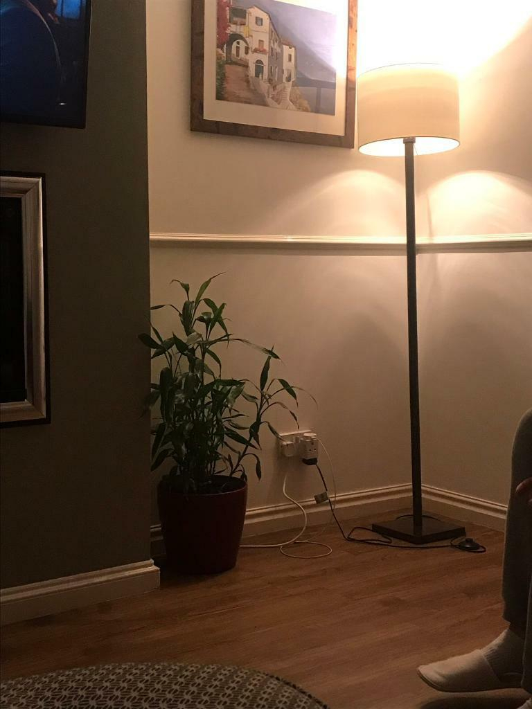Pair Of B And Q Floor Lamps In Chester Le Street County Durham Gumtree within size 768 X 1024