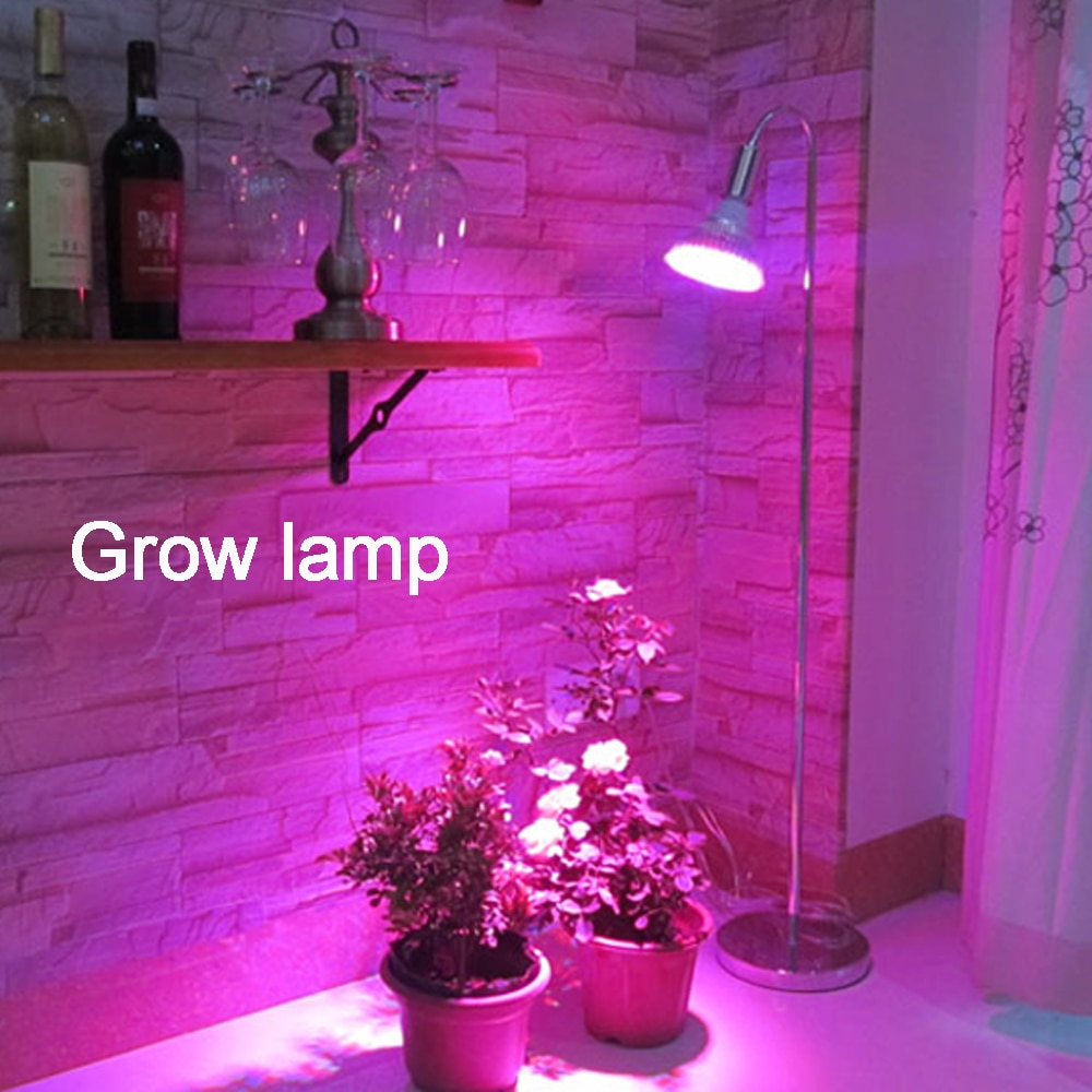 Red And Blue Growth Floor Standing Lampplant Grow Light For with dimensions 1000 X 1000