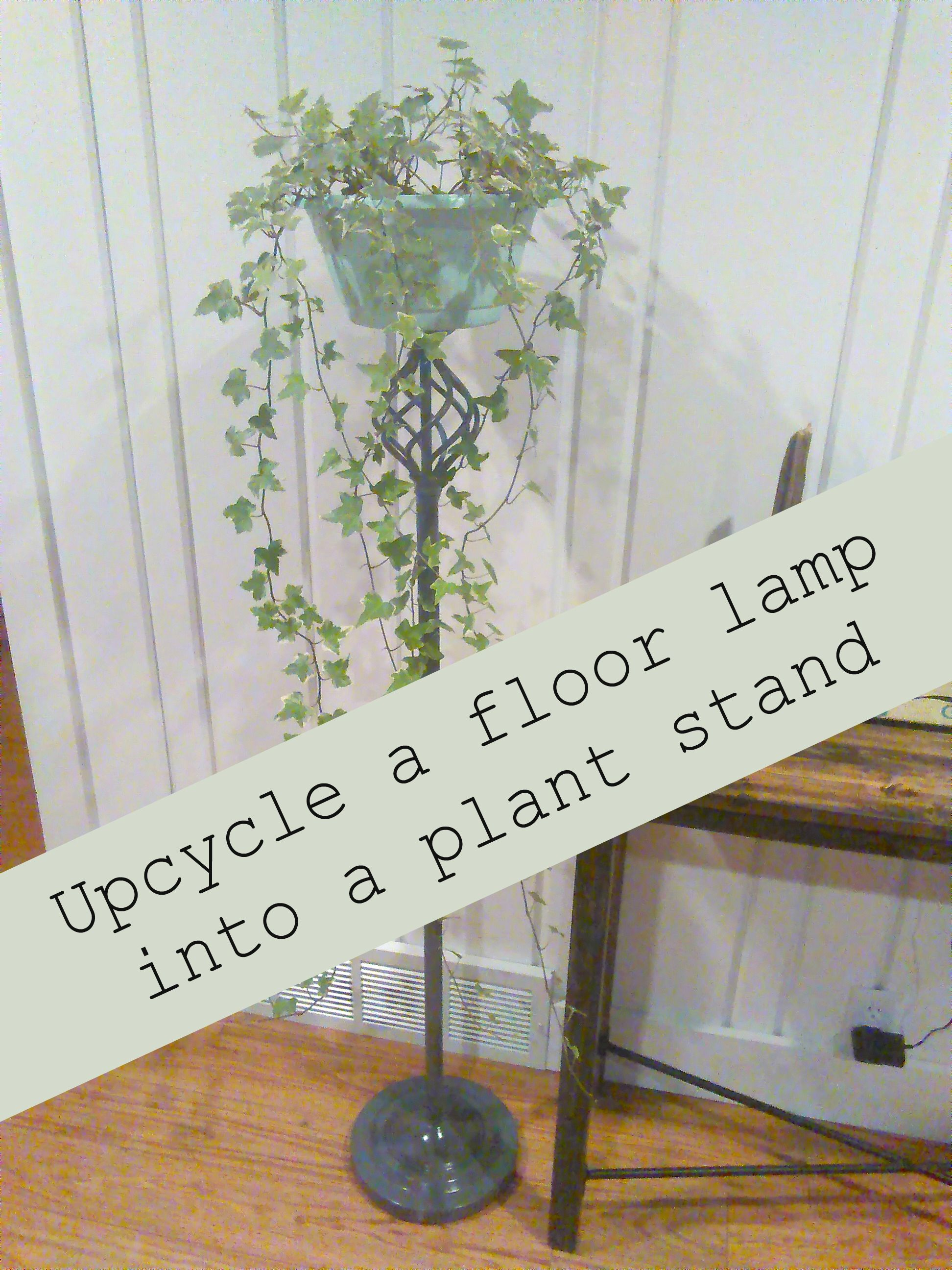 Repurpose A Floor Lamp Into A Plant Stand Turn An Unused regarding measurements 1944 X 2592