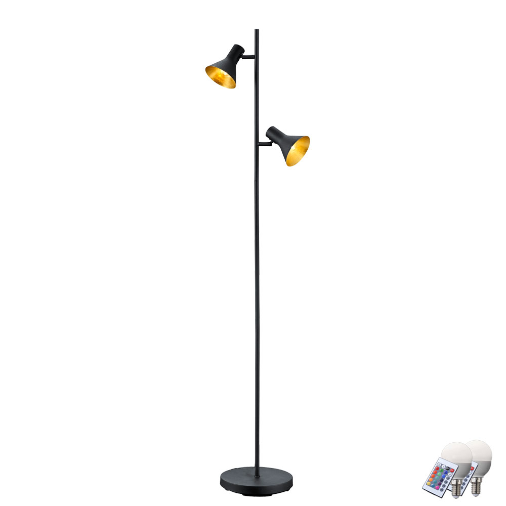 Rgb Led Retro Floor Lamp In Black For The Interior Of Nina in size 1000 X 1000