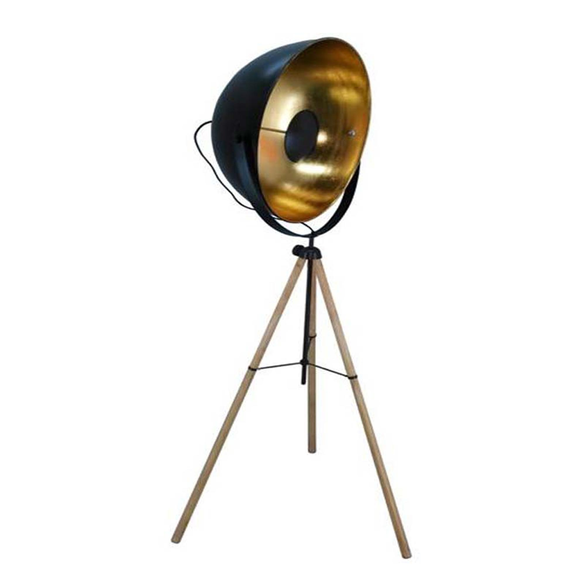 Spotlight Floor Lamp in proportions 2000 X 2000