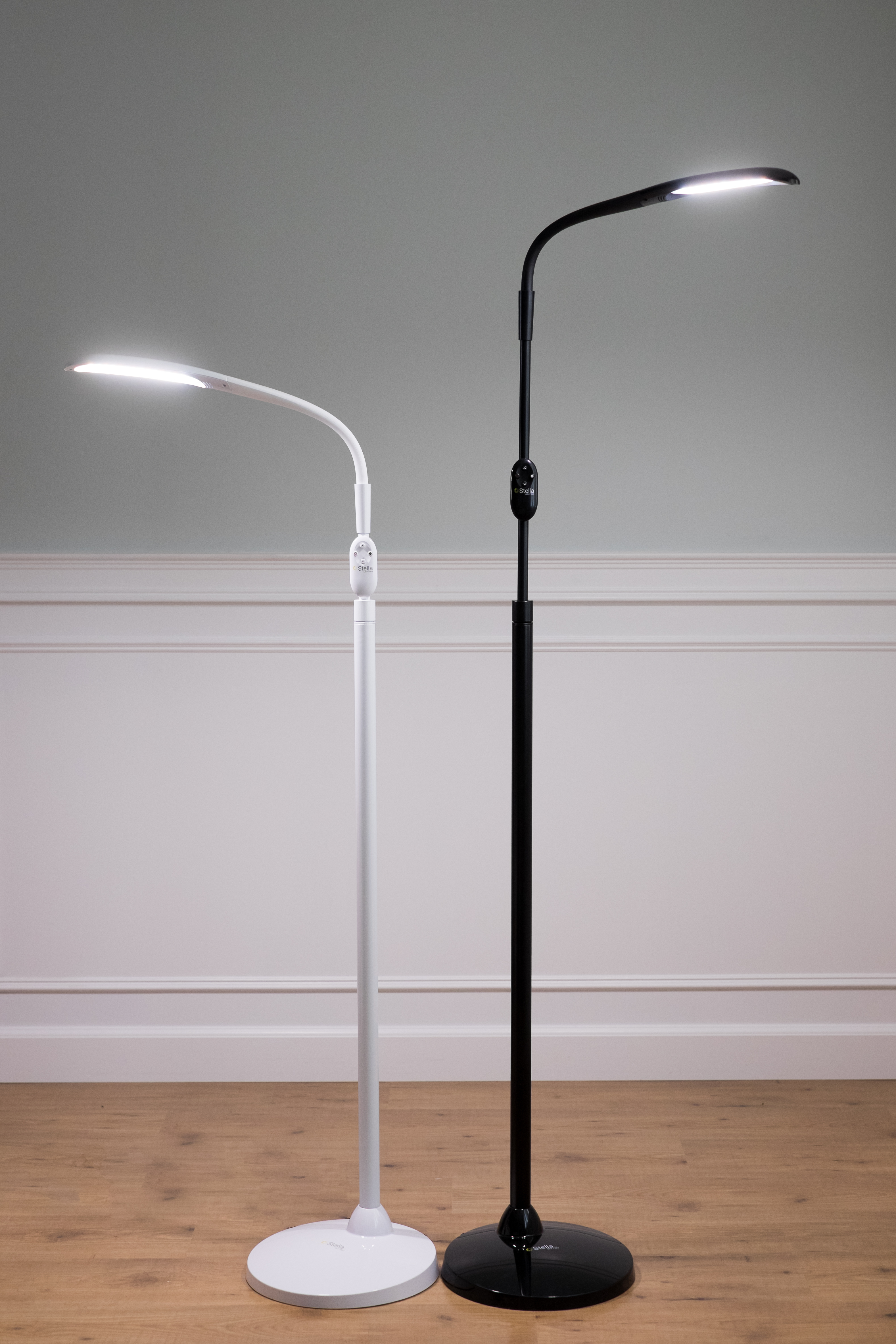 Stellasky Two Led Floor Lamp Your Low Vision Lighting Solution throughout sizing 3155 X 4732