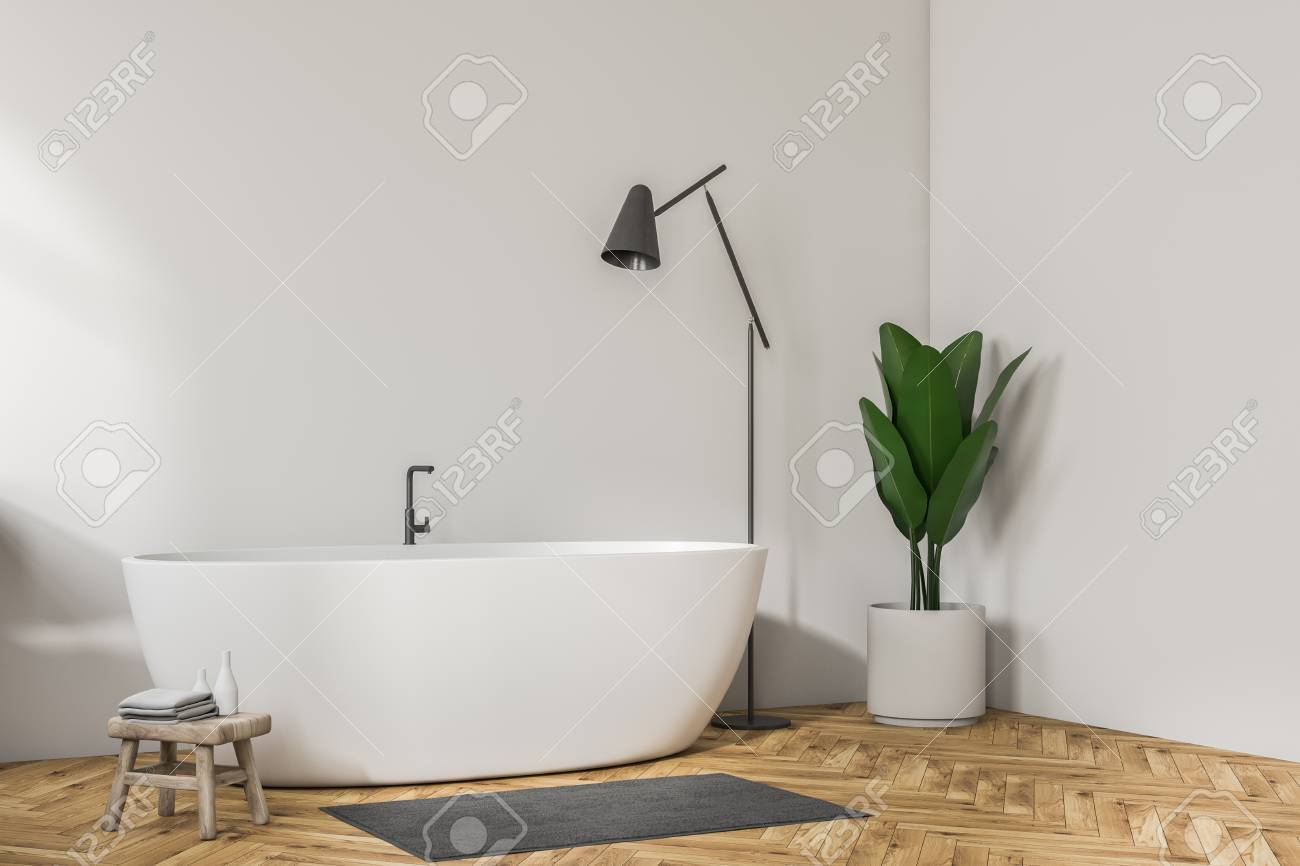 Stock Photo for measurements 1300 X 866