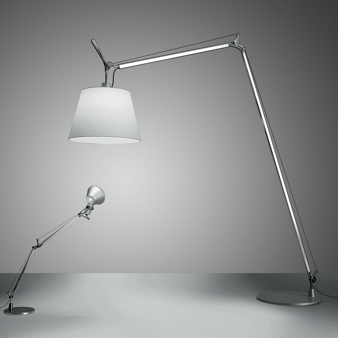 Tolomeo Maxi Floor Lamp with proportions 1183 X 1183