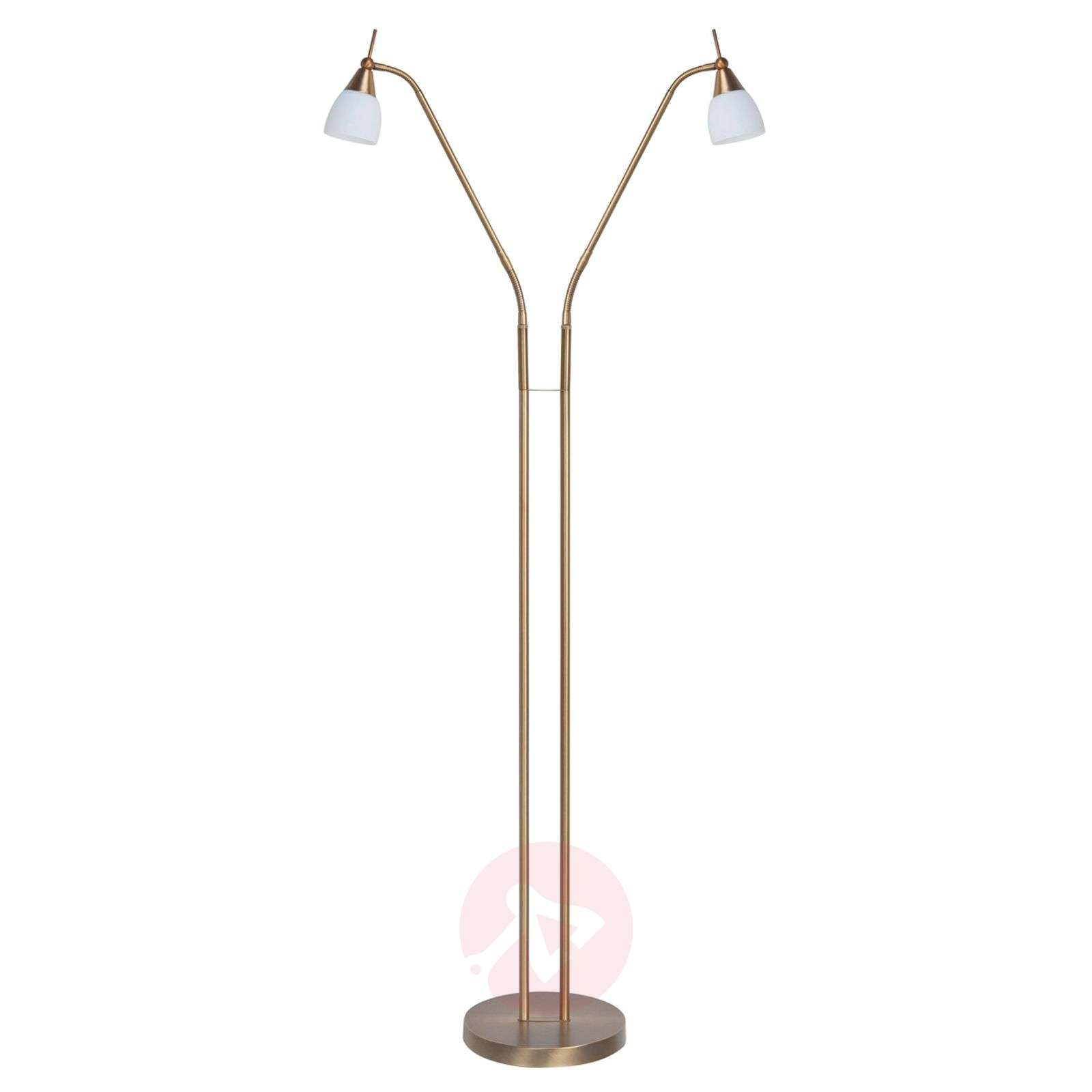 Two Bulb Floor Lamp Touchy With Touch Switch in measurements 1600 X 1600